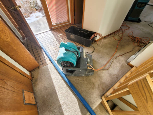Best Flood damage cleanup  in Grape Creek, TX