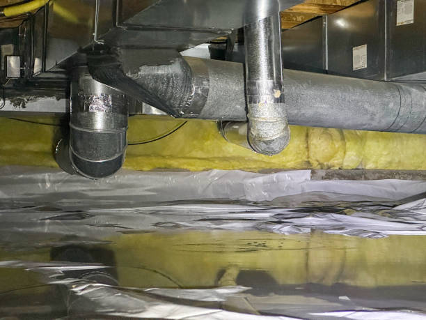 Best Flood damage cleanup  in Grape Creek, TX