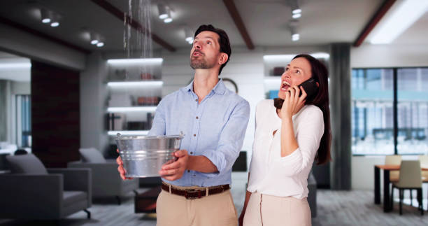 Best Water damage contractors near me  in Grape Creek, TX