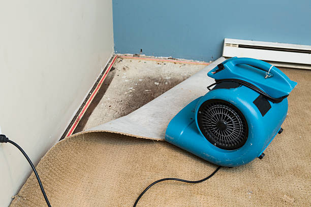 Best Commercial water damage restoration  in Grape Creek, TX